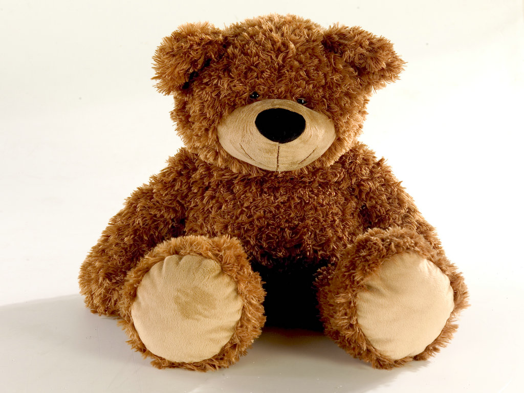 PLUSH TOYS BEAR